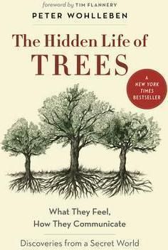  The Hidden Life of Trees : What They Feel, How They CommunicateA Discoveries from a Secret World_Peter Wohlleben_9781771642484_Greystone Books,Canada 