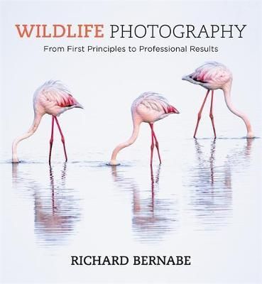 Wildlife Photography_Richard Bernabe_9781781575123_Octopus Publishing Group