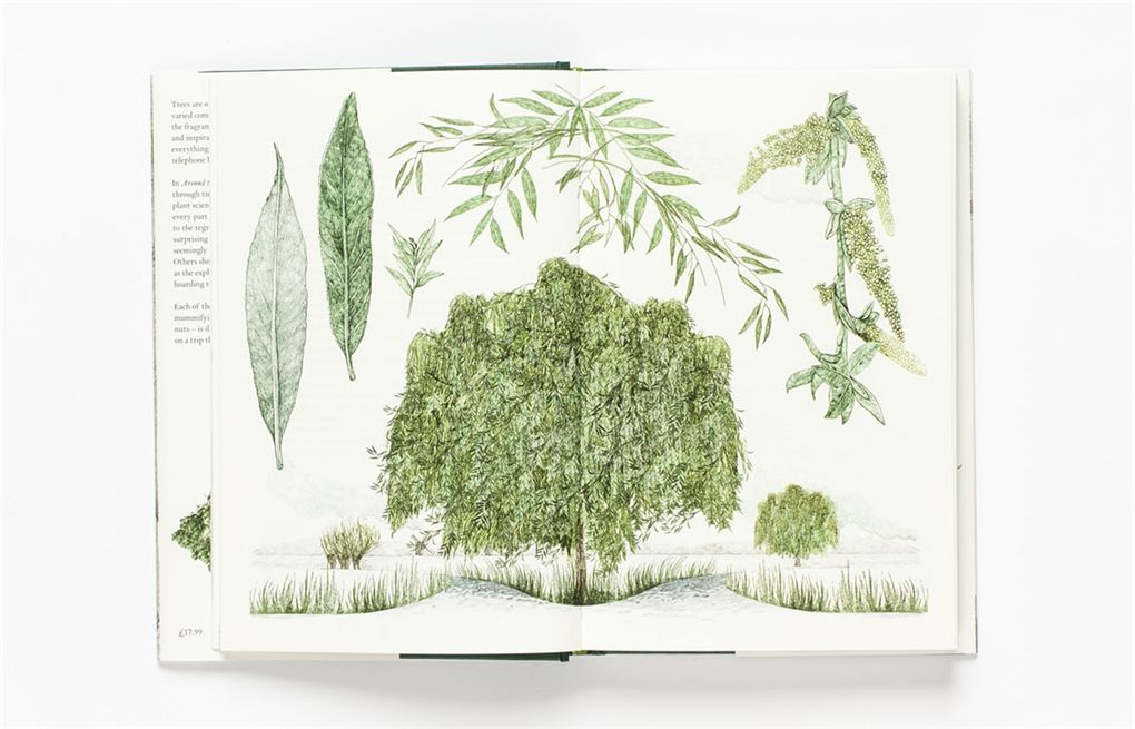Around the World in 80 Trees_Jonathan Drori_9781786271617_Laurence King Publishing