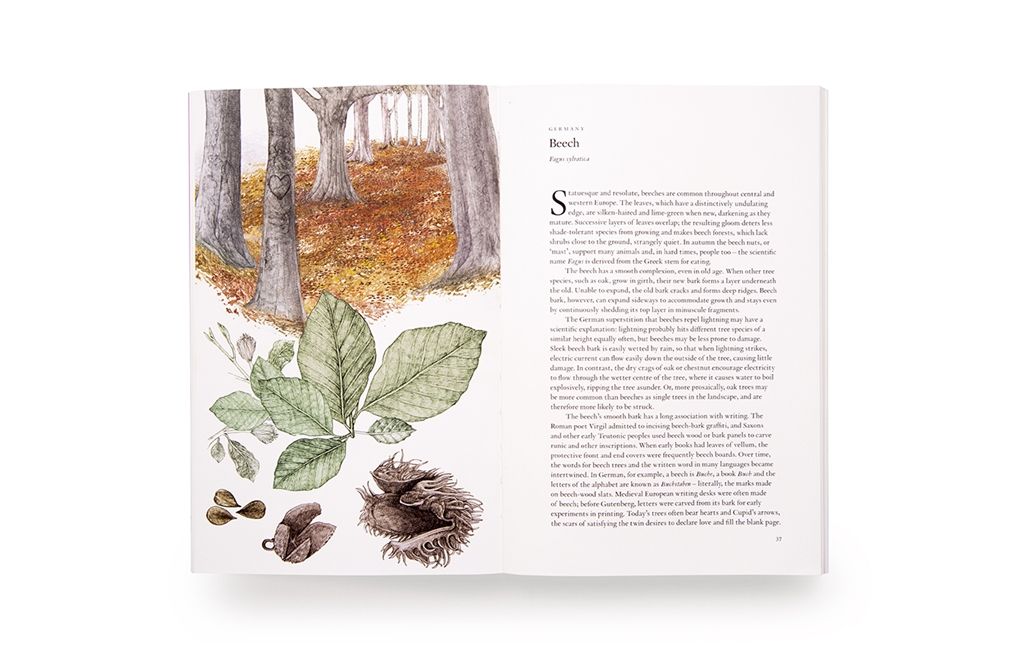 Around the World in 80 Trees_Jonathan Drori_9781786276063_Laurence King Publishing