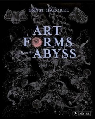 Art Forms From The Abyss_Peter J Le B Williams_9783791381411_Prestel