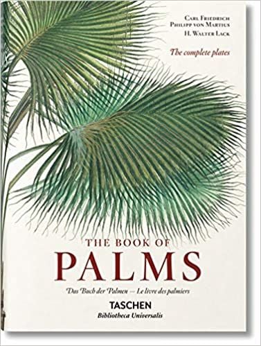 The Book Of Palms_H. Walter Lack_9783836556231_Taschen