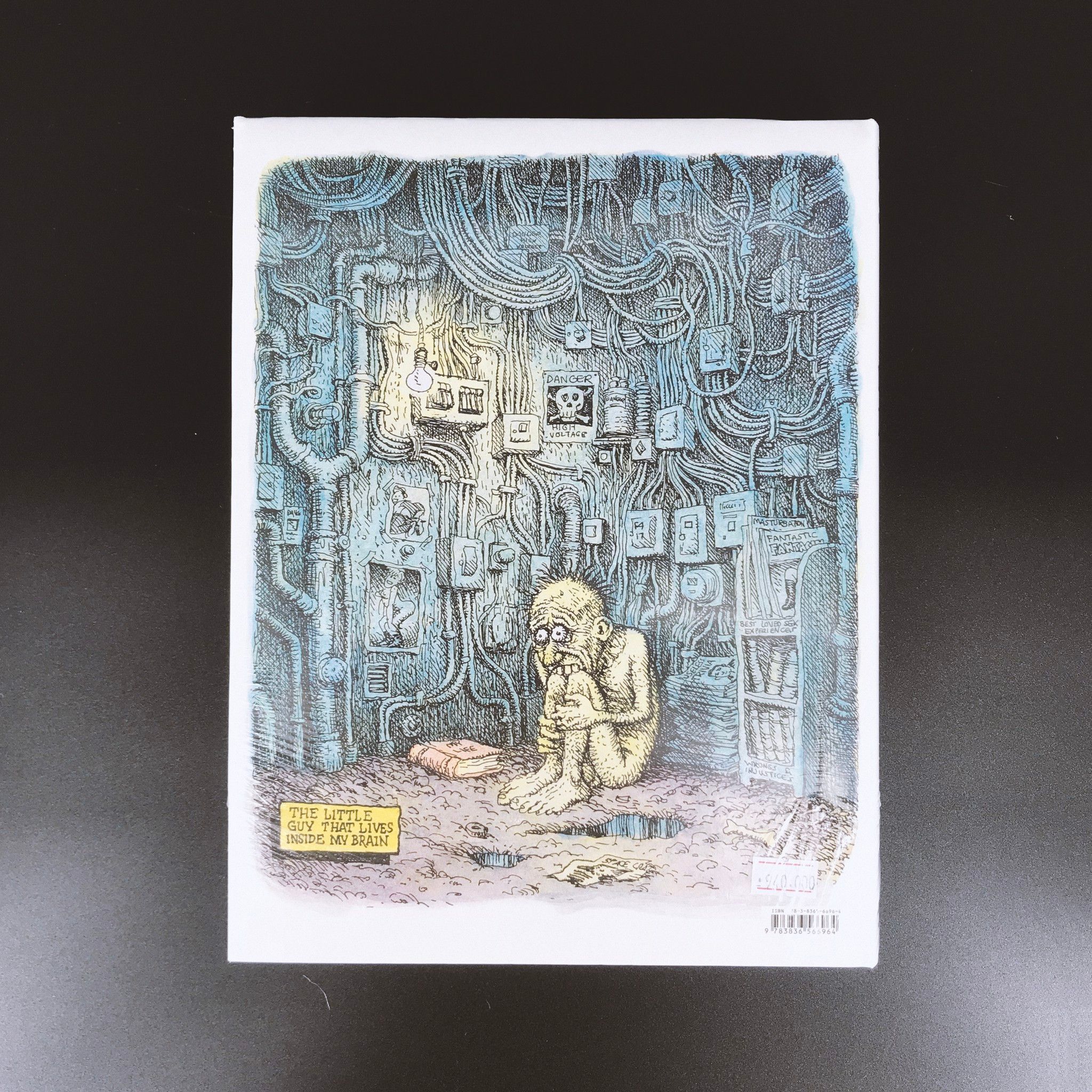 R. Crumb Sketchbook, Vol. 4: Dec.1982-Dec.1989 - Robert Crumb - 9783836566964 - Taschen