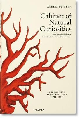 Seba: Cabinet Of Natural Curiosities _Irmgard Müsch_9783836569064_Taschen