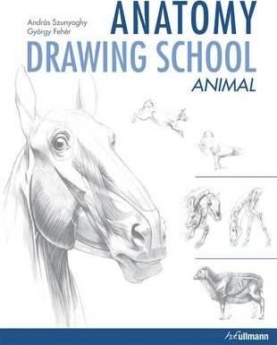 Anatomy Drawing School: Animal Anatomy_Andras Szunyoghy_9783848008308_Ullmann Publishing