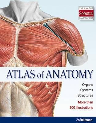 Atlas of Anatomy : The Human Body Described in 13 Systems_Editorial Team of the Sobotta Atlas_9783848009145_Ullmann Publishing