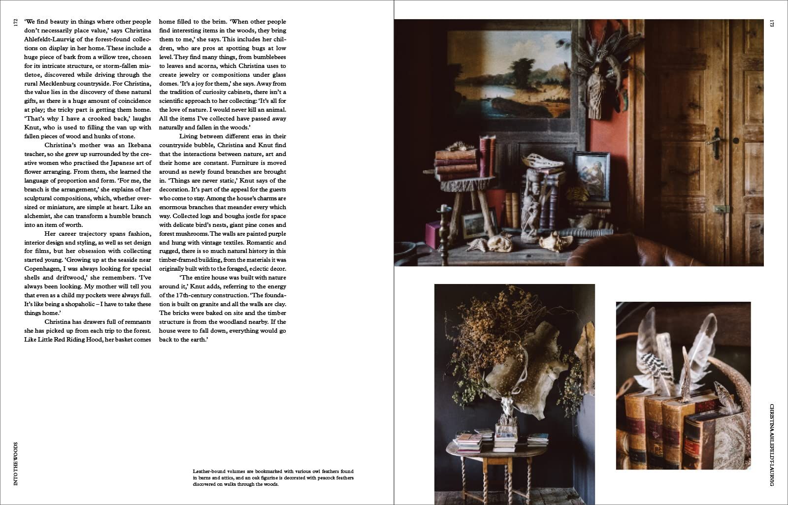 The New Naturalists : Inside the Homes of Creative Collectors