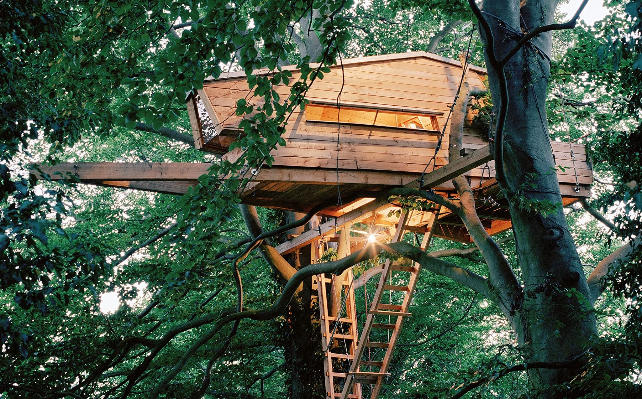 Treehouses and Other Modern Hideaways_Andreas Wenning_9783869227368_DOM Publishers