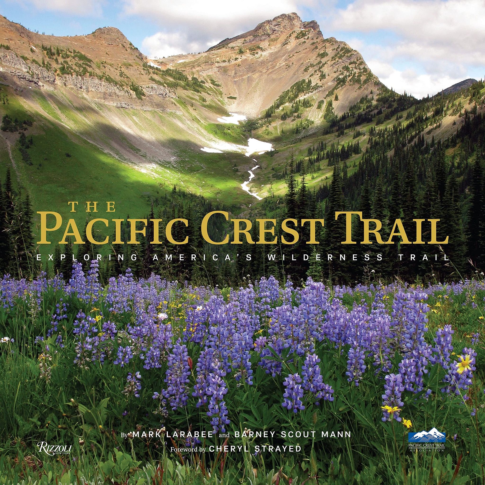 Pacific Crest Trail, The : Hiking America's Wilderness Trail