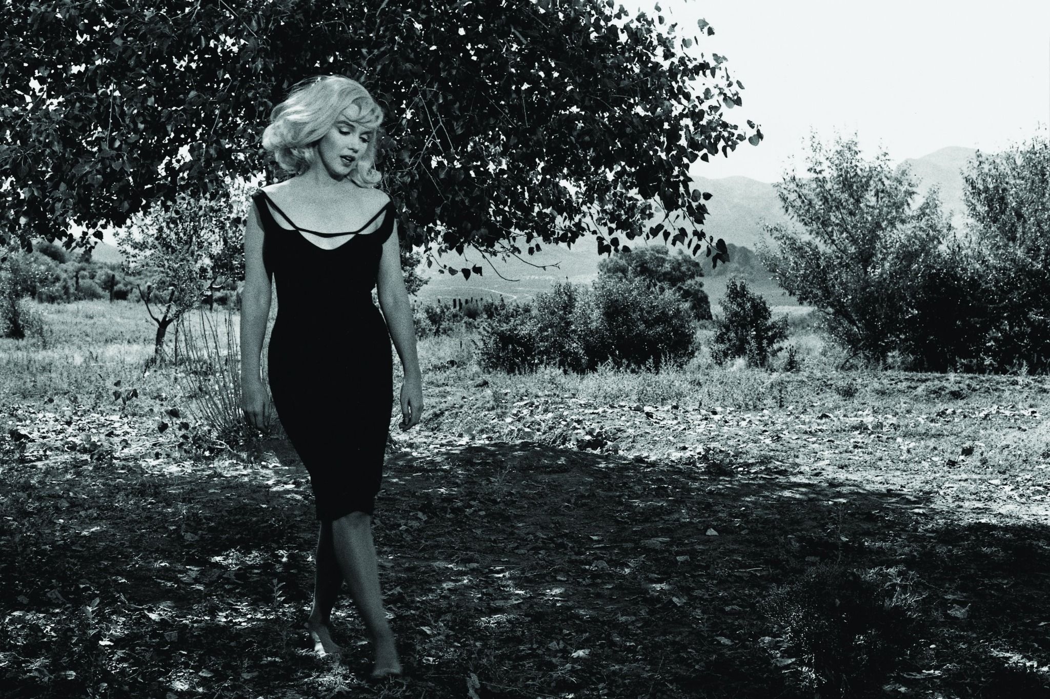 The Misfits : Story of a Shoot_Phaidon_9780714861074_Phaidon Press Ltd