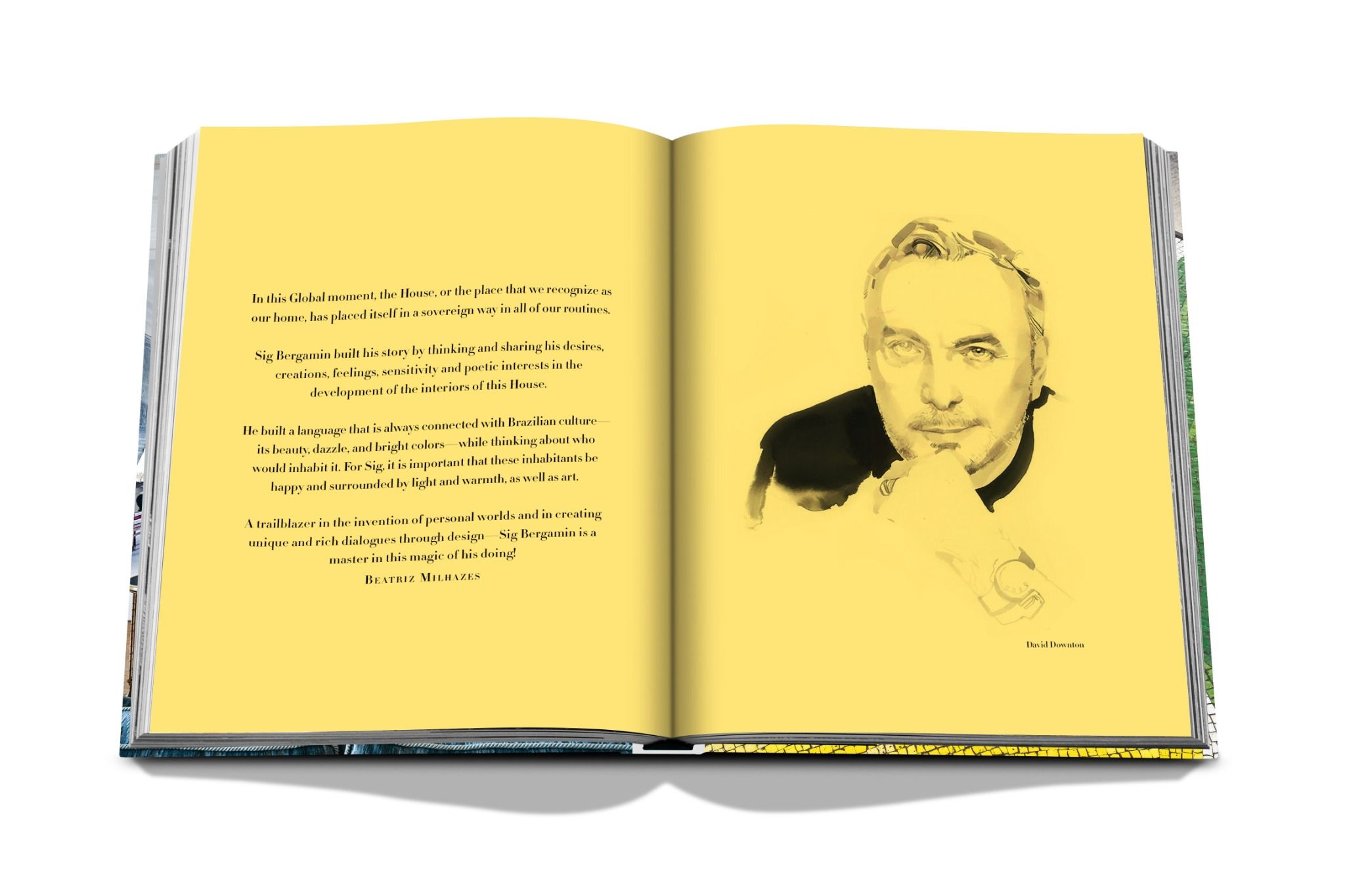 Art Life by Sig Bergamin _ Beatriz Milhazes_9781614289562 _ASSOULINE