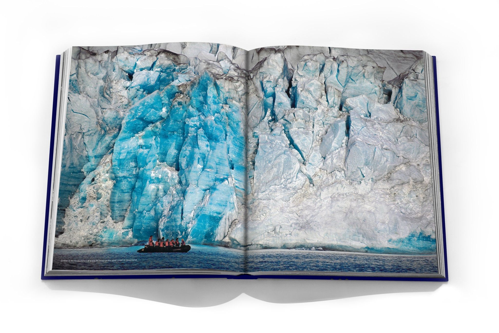 Canada Goose_Canada Goose_9781614286202_Assouline Publishing Inc