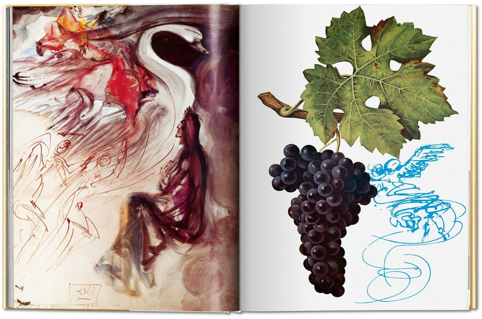 Dali. The Wines of Gala_TASCHEN_9783836567725_TASCHEN