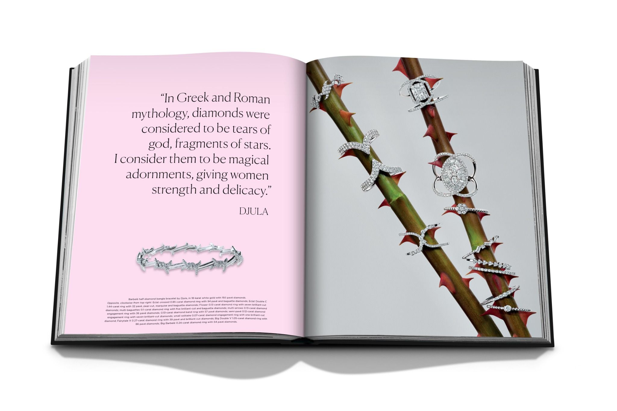Diamonds: Diamond Stories_Eward Enninful_9781649800114_Assouline