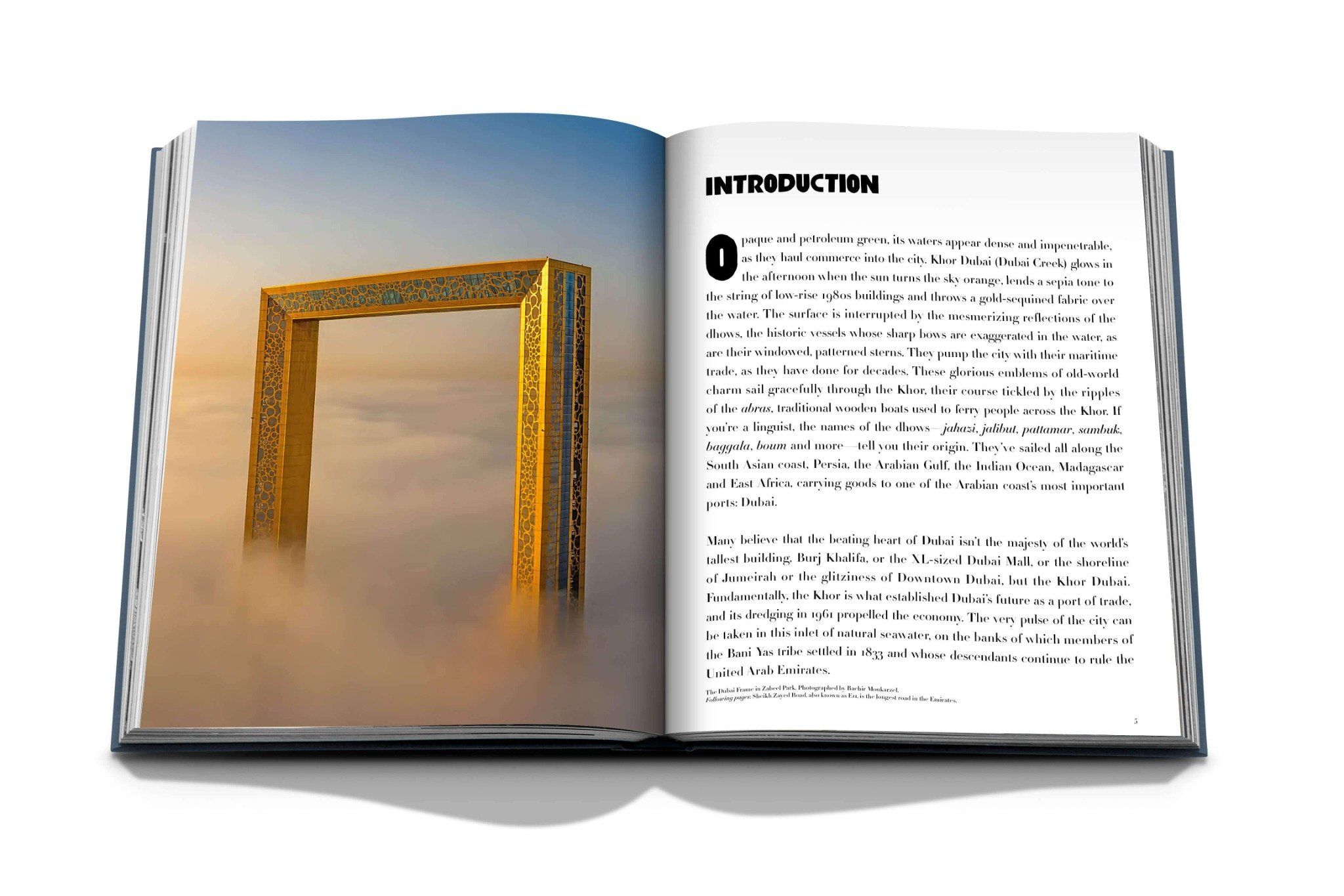 Dubai Wonder_Myrna Ayad_9781649800237_ASSOULINE