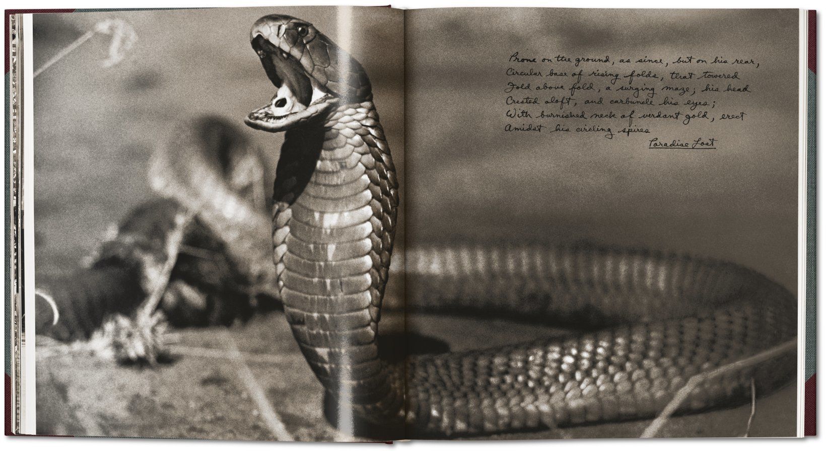 The End of the Game_Peter Beard_9783836584869_TASCHEN