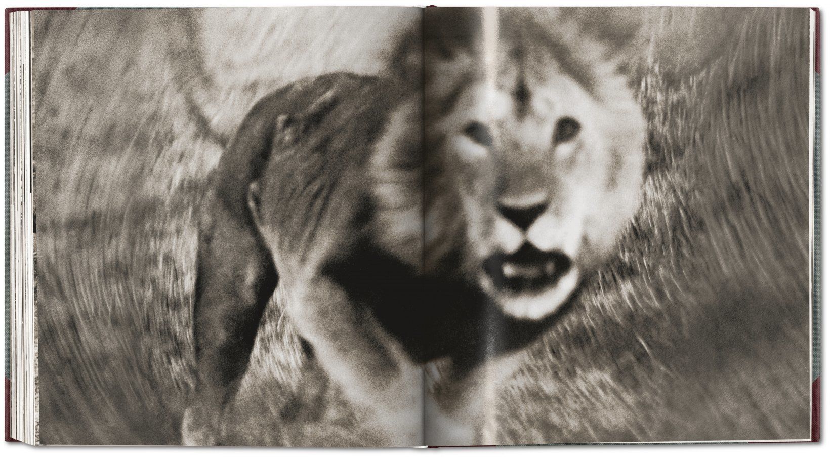 The End of the Game_Peter Beard_9783836584869_TASCHEN