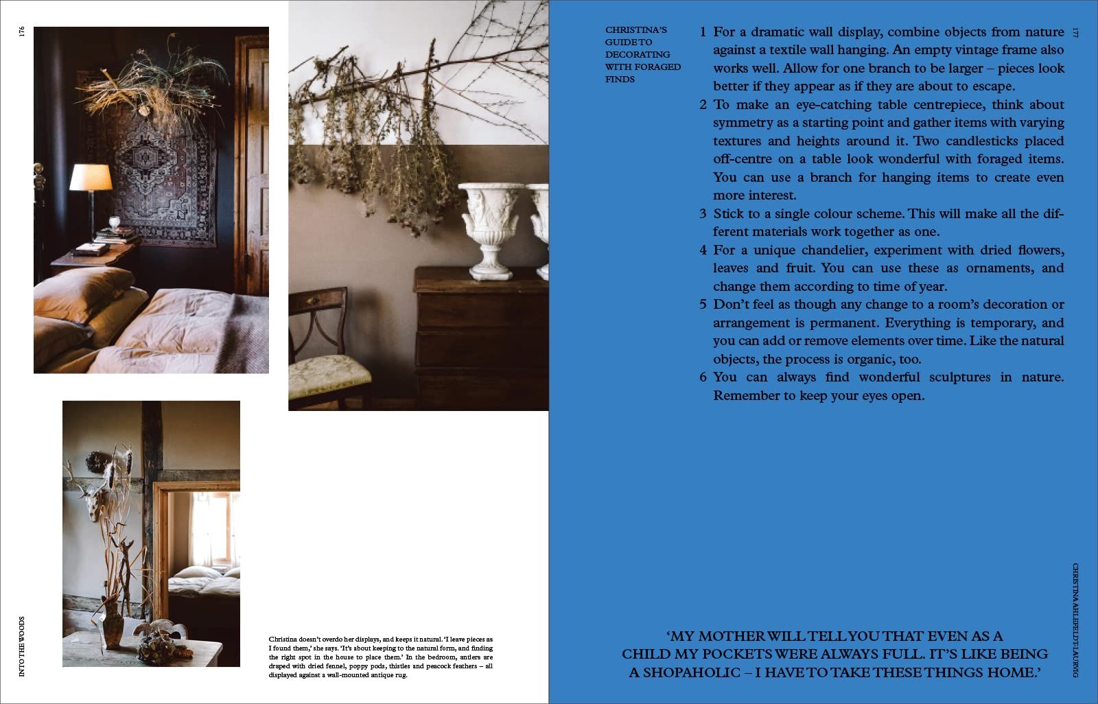 The New Naturalists : Inside the Homes of Creative Collectors