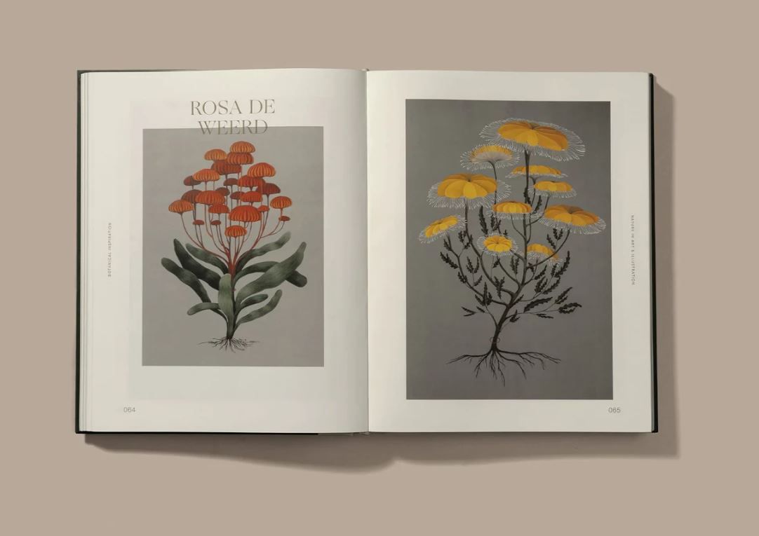 Botanical Inspiration : Nature in Art and Illustration