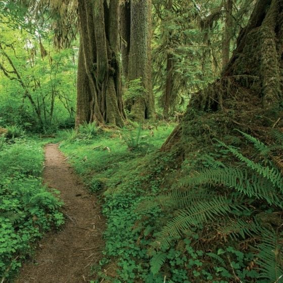 Hiking Trails of the Pacific Northwest_Bart Smith_9780847867660_Rizzoli International Publications
