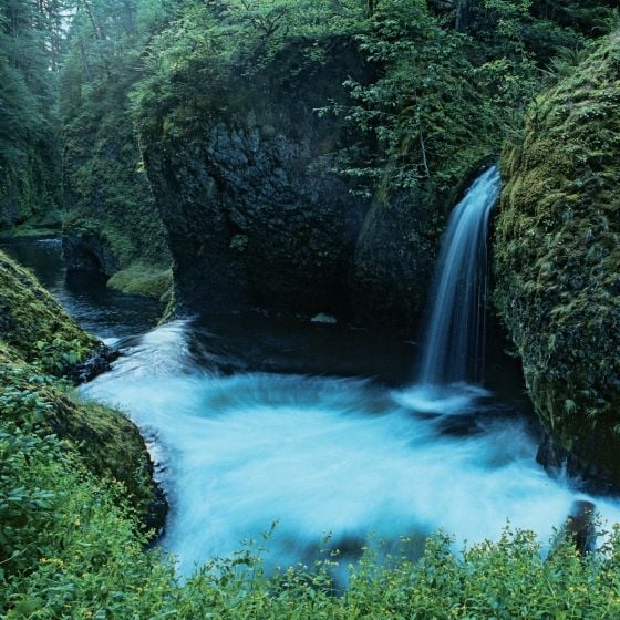 Hiking Trails of the Pacific Northwest_Bart Smith_9780847867660_Rizzoli International Publications