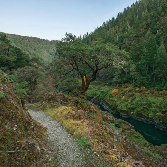 Hiking Trails of the Pacific Northwest_Bart Smith_9780847867660_Rizzoli International Publications