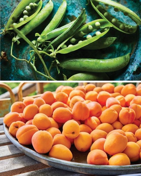 At the Table of La Fortezza: The Enchantment of Tuscan Cooking From the Lunigiana Region