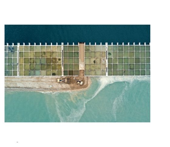 Second Nature: Photography in the Age of the Anthropocene