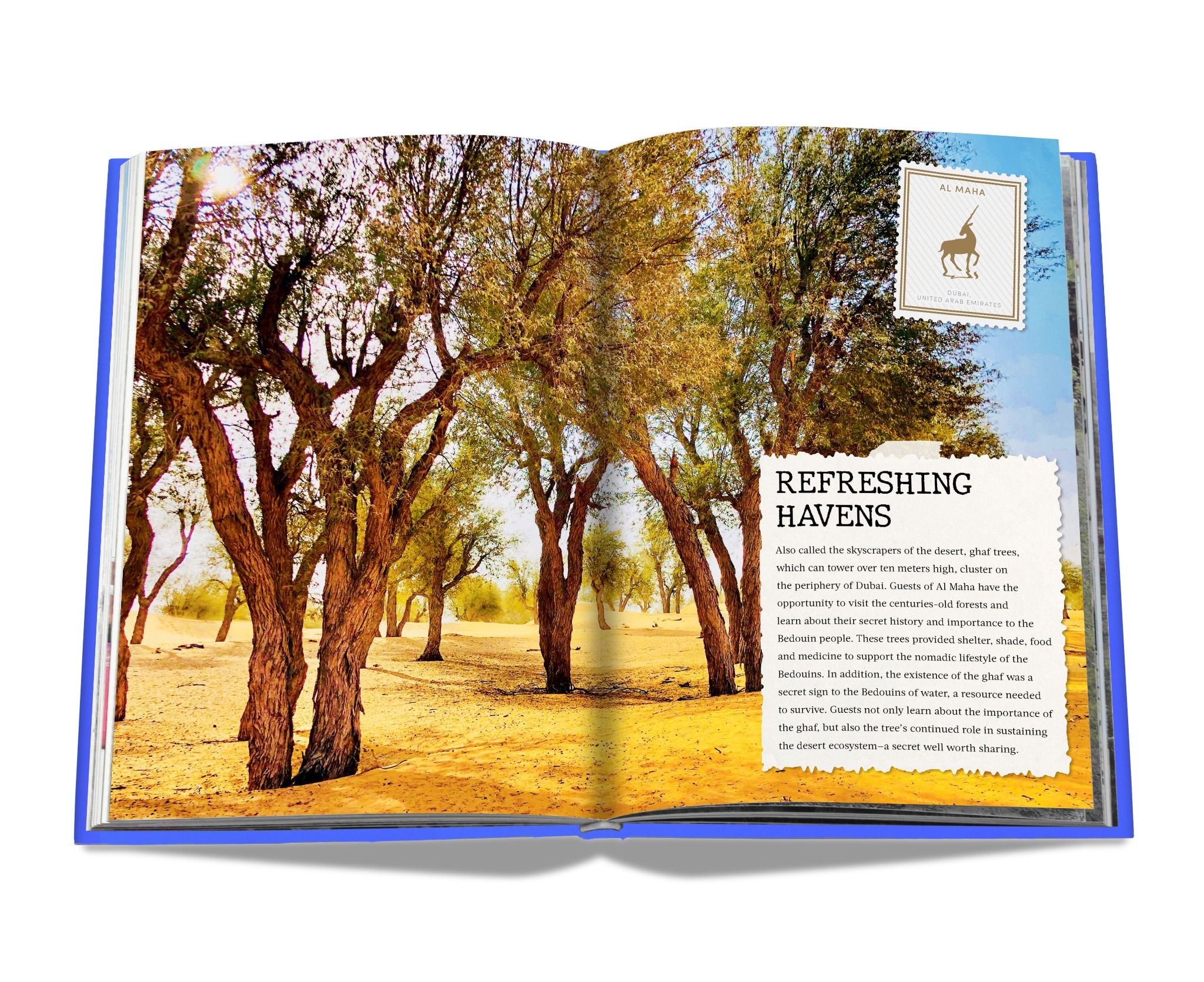 The Luxury Collection: Hotel Secrets_Assouline_9781614288565_Assouline