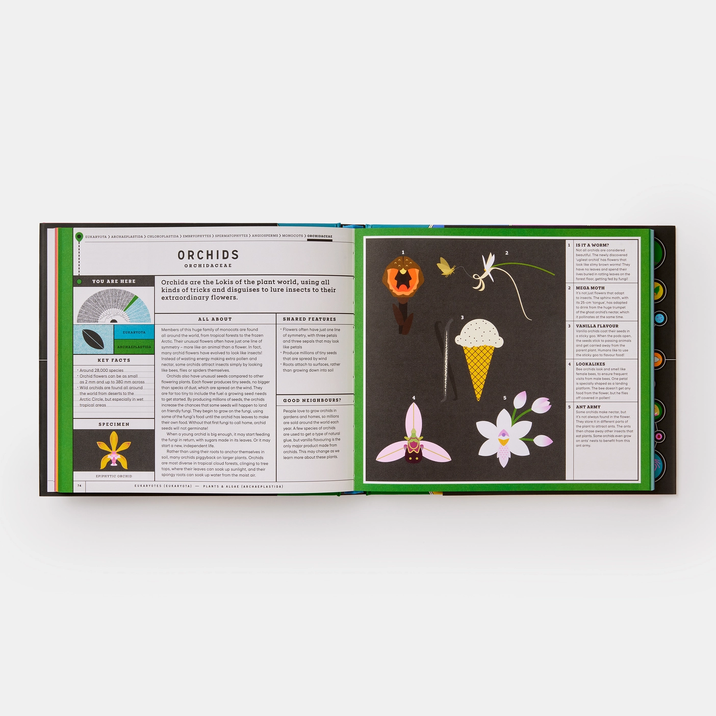 Full of Life: Exploring Earth's Biodiversity