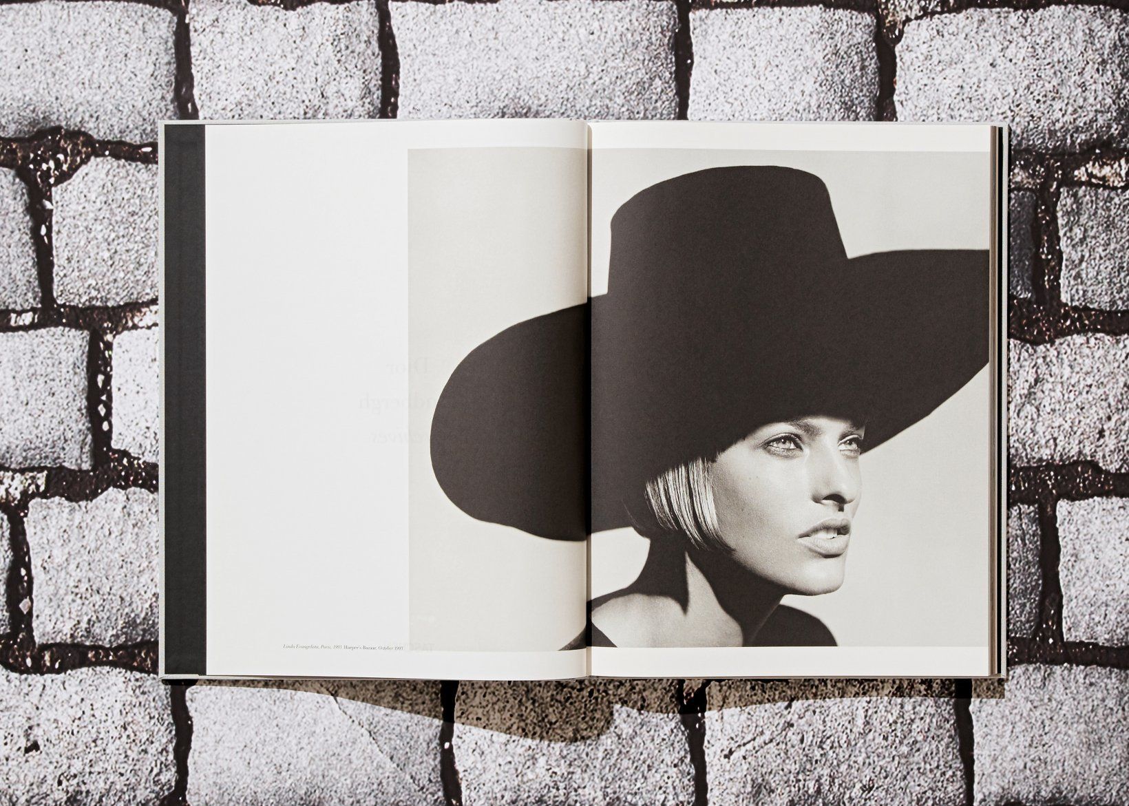 Peter Lindbergh. Dior_Martin Harrison_9783836579902_Taschen GmbH