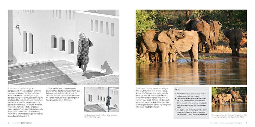 Mastering Composition: The Definitive Guide for Photographers