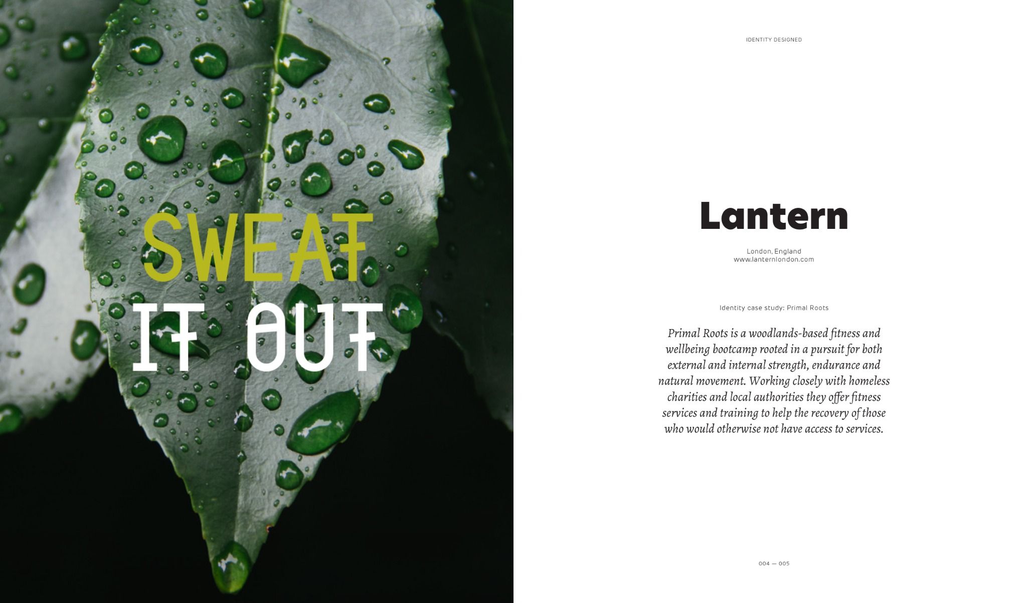 Identity Designed: The Definitive Guide to Visual Branding