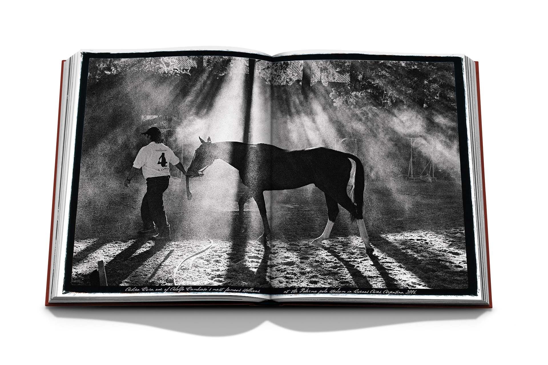 Polo Heritage_Nacho Figueras_9781614289661_Assouline