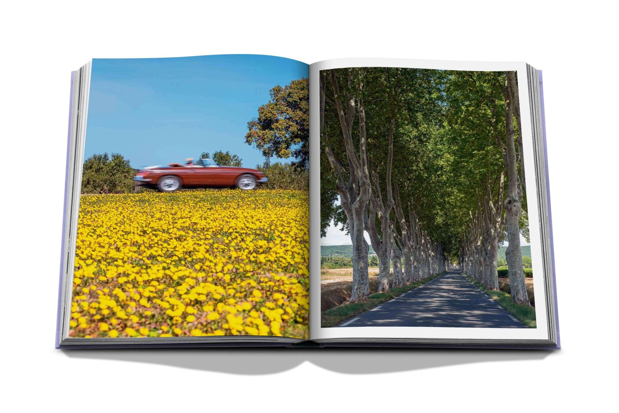 Provence Glory_Francois Simon_9781614289821_Assouline Publishing Inc