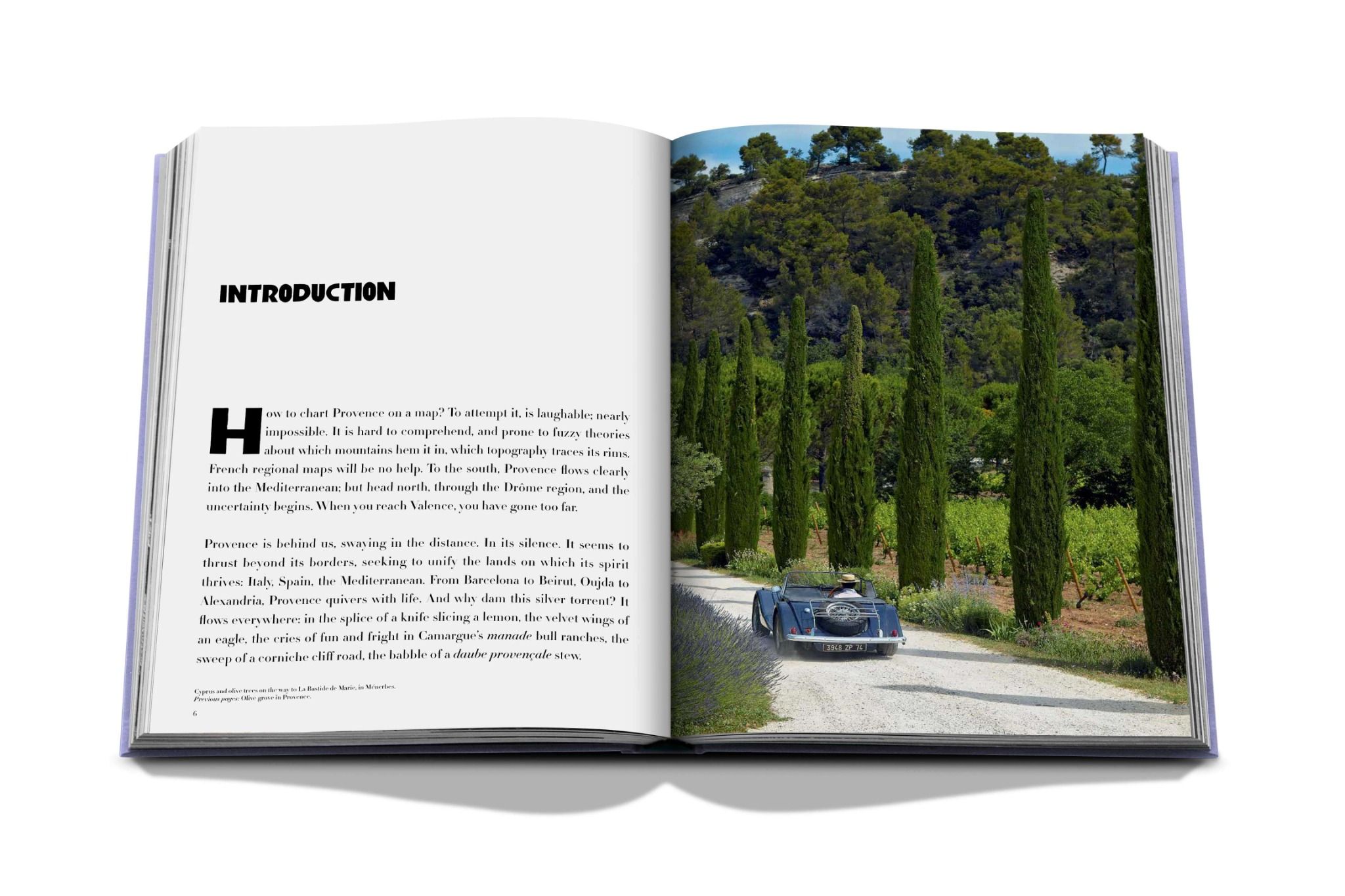 Provence Glory_Francois Simon_9781614289821_Assouline Publishing Inc