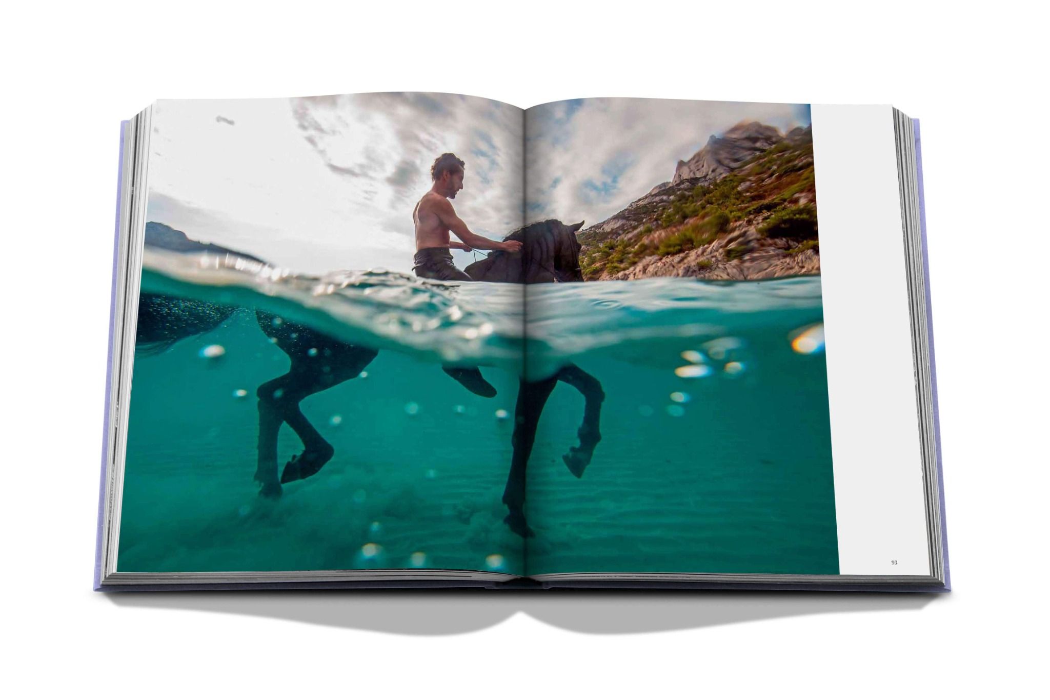 Provence Glory_Francois Simon_9781614289821_Assouline Publishing Inc