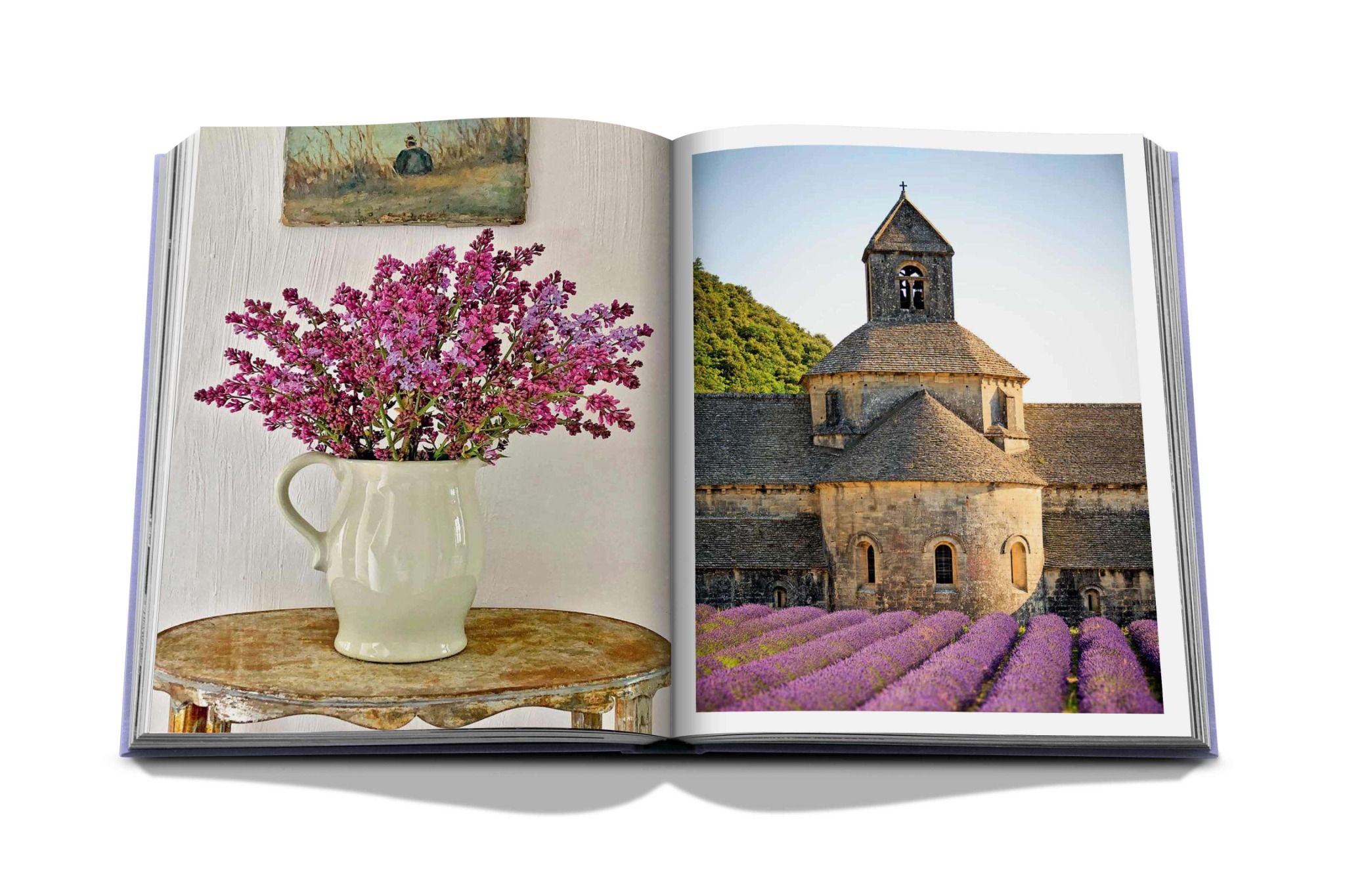 Provence Glory_Francois Simon_9781614289821_Assouline Publishing Inc