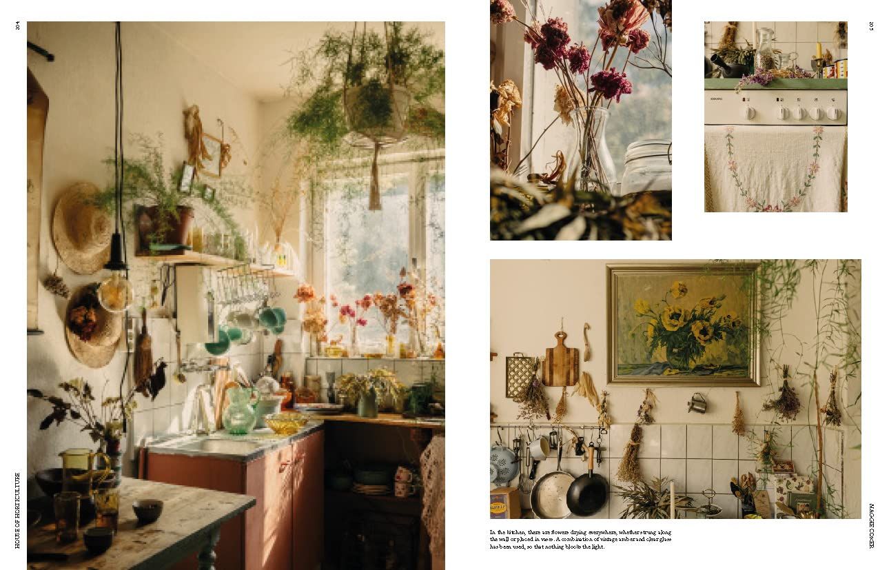 The New Naturalists : Inside the Homes of Creative Collectors