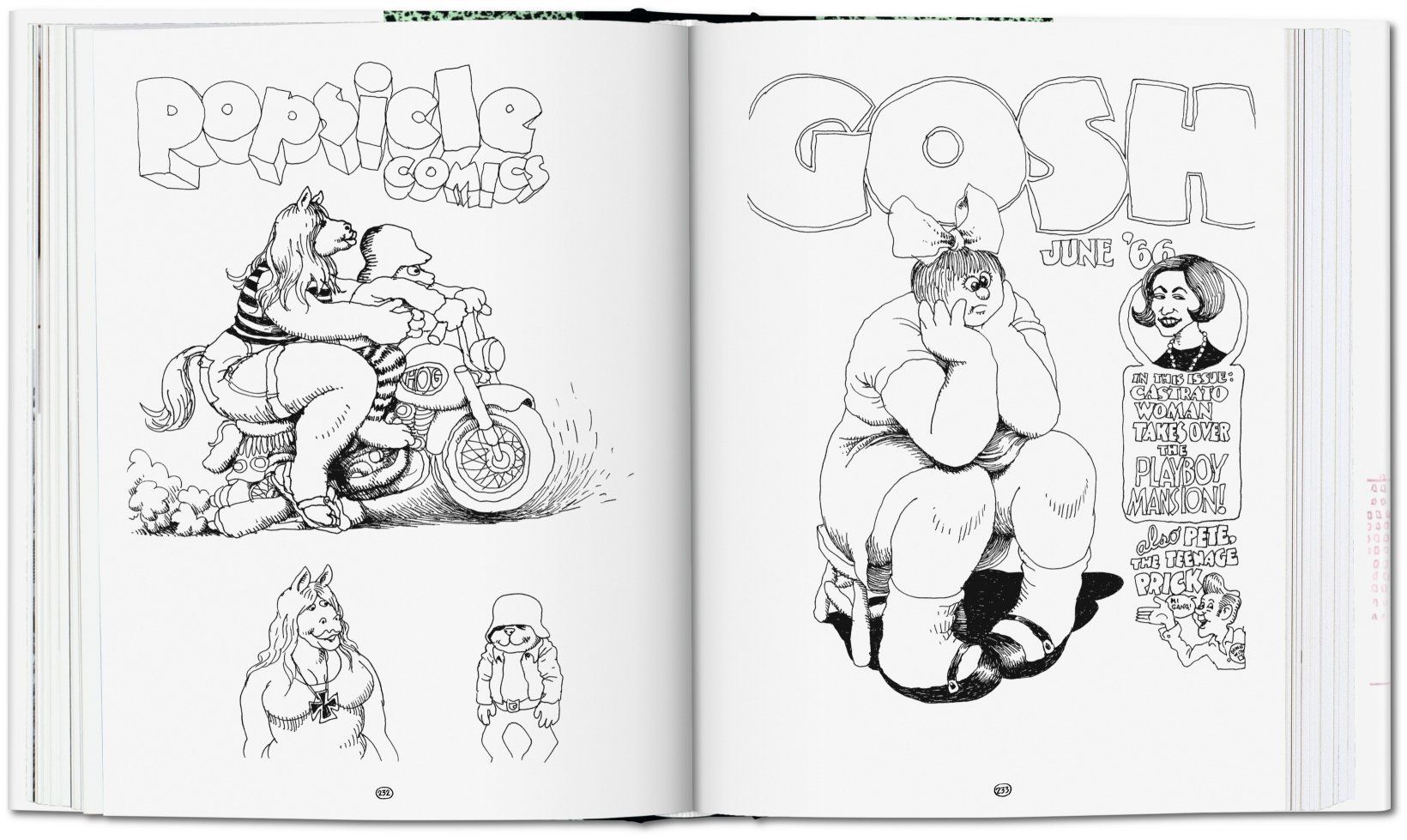Robert Crumb. Sketchbook Vol. 1. 1964-1968_Robert Crumb_9783836540575_TASCHEN