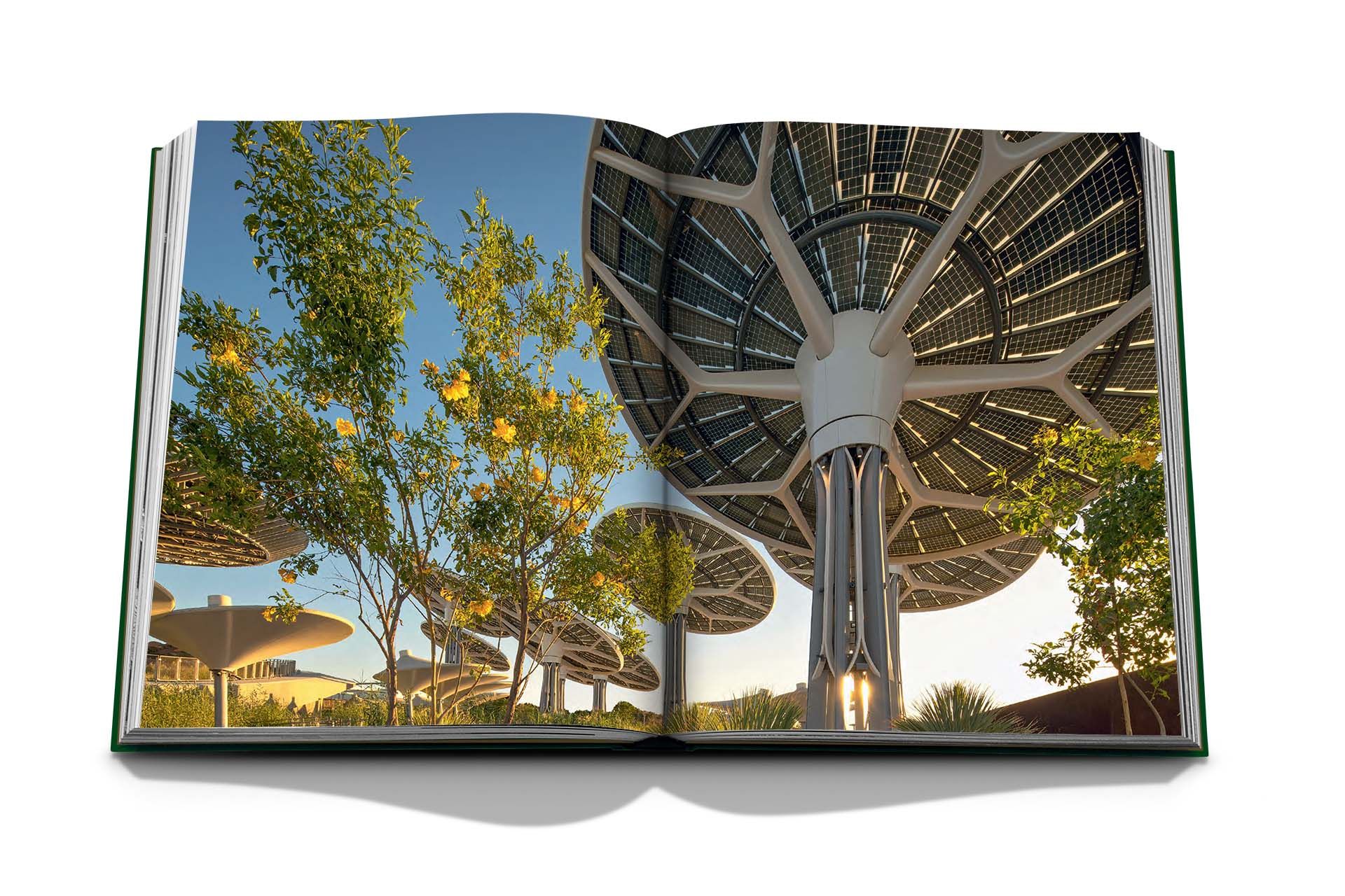 Dubai Expo: Terra_Dr. Federica Busa_9781649800251_Assouline Publishing Inc
