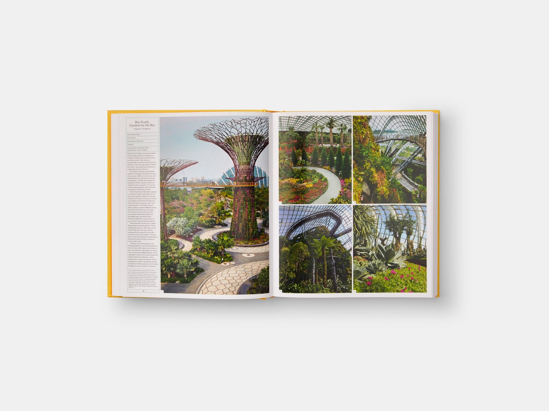 The Gardener's Garden : Classic format_ Madison Cox_9781838660260_Phaidon Press Ltd