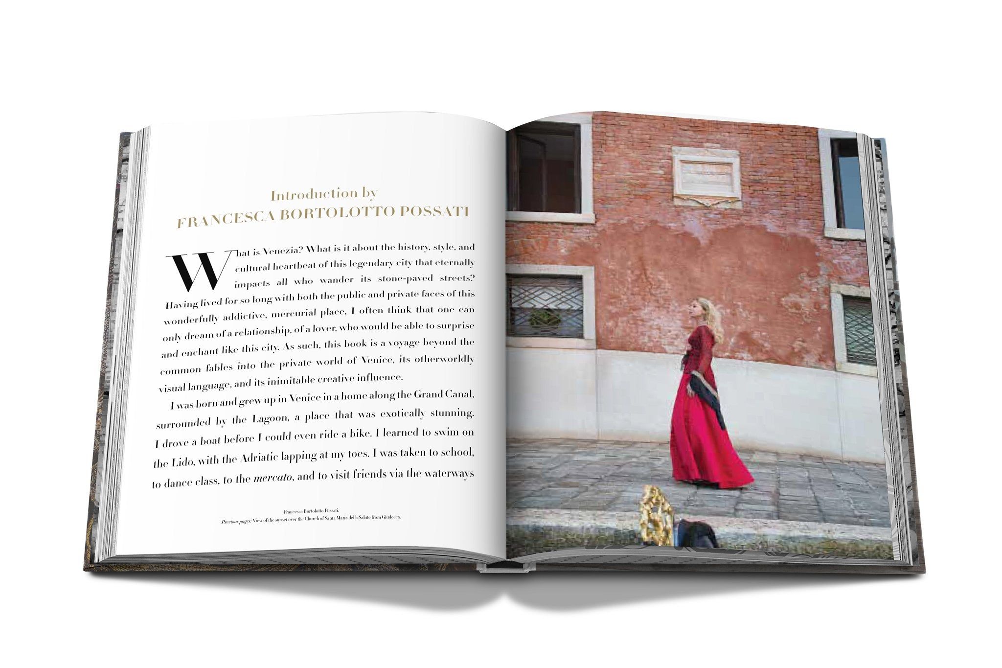 Venetian Chic_Francesca Bortolotto Possati_9781614285380_Assouline Publishing Inc