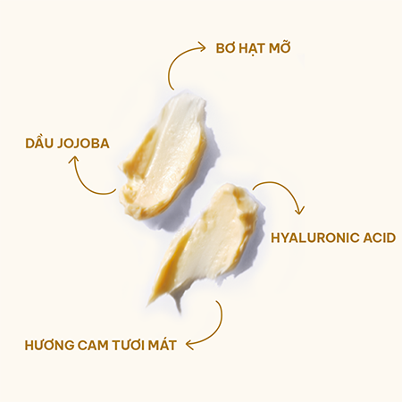 Mặt nạ ngủ cho môi kiêm son dưỡng Baresoul Best Kisser Lip Balm & Mask 10g