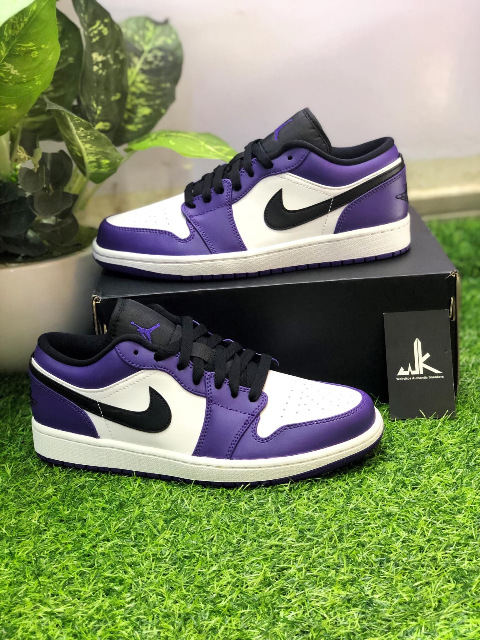  553558-500 Jordan 1 Low Court Purple 