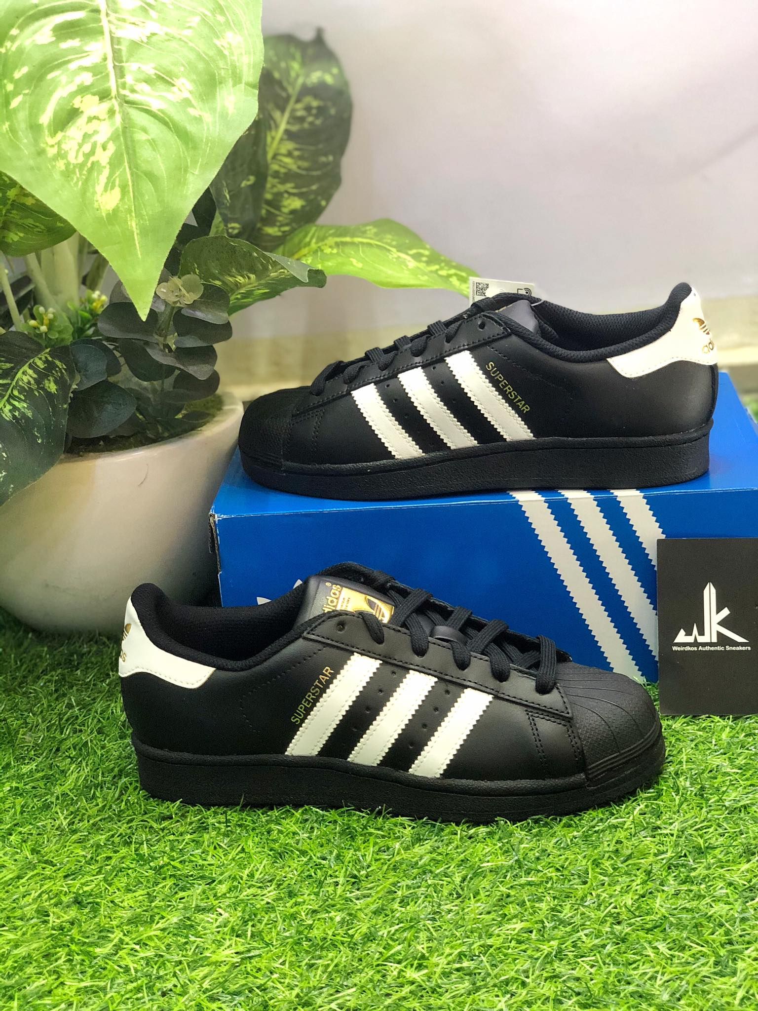 EG4959 Superstar Tem Vàng Sọc Trắng