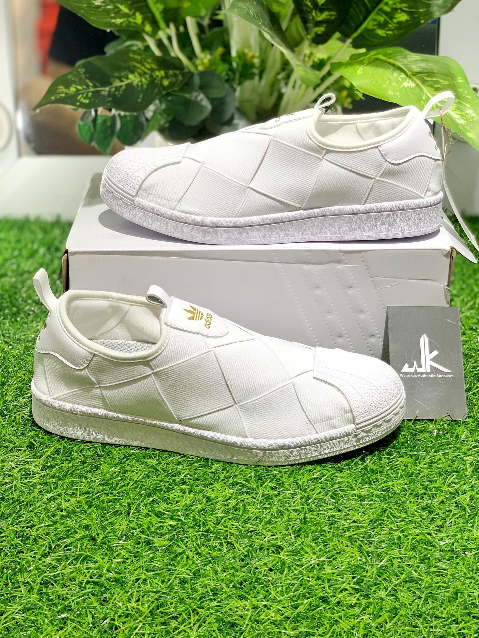 FV3186 - SuperStar Slip-On White