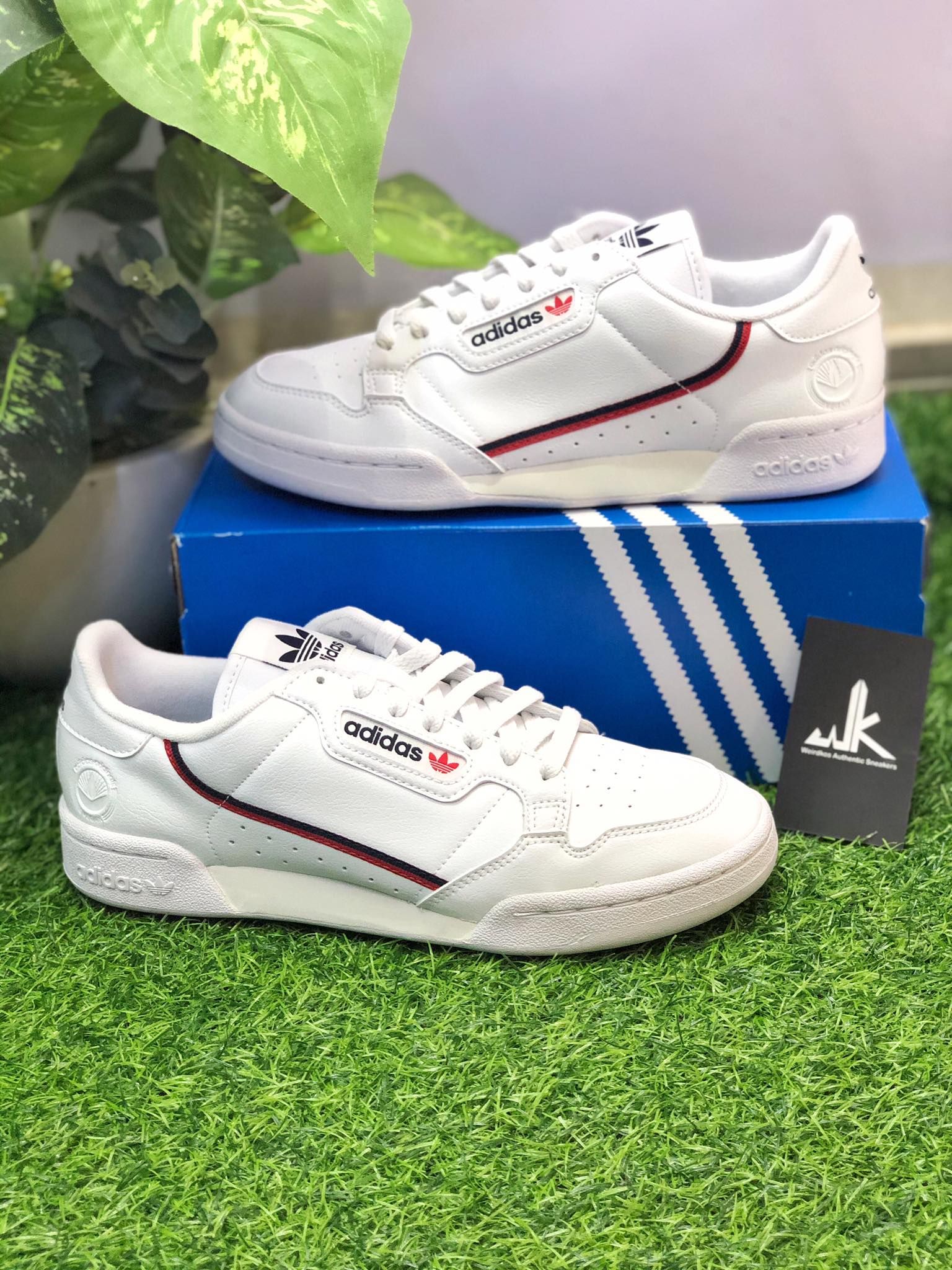 FW2336 Continental 80 Vegan