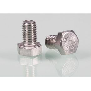 Stainless steel Hex cap bolts
