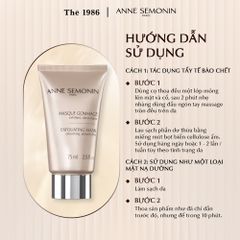 Hướng dẫn sử dụng Anne Semonin Exfoliating Mask